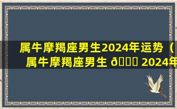 属牛摩羯座男生2024年运势（属牛摩羯座男生 🐒 2024年运势及运 🐝 程）